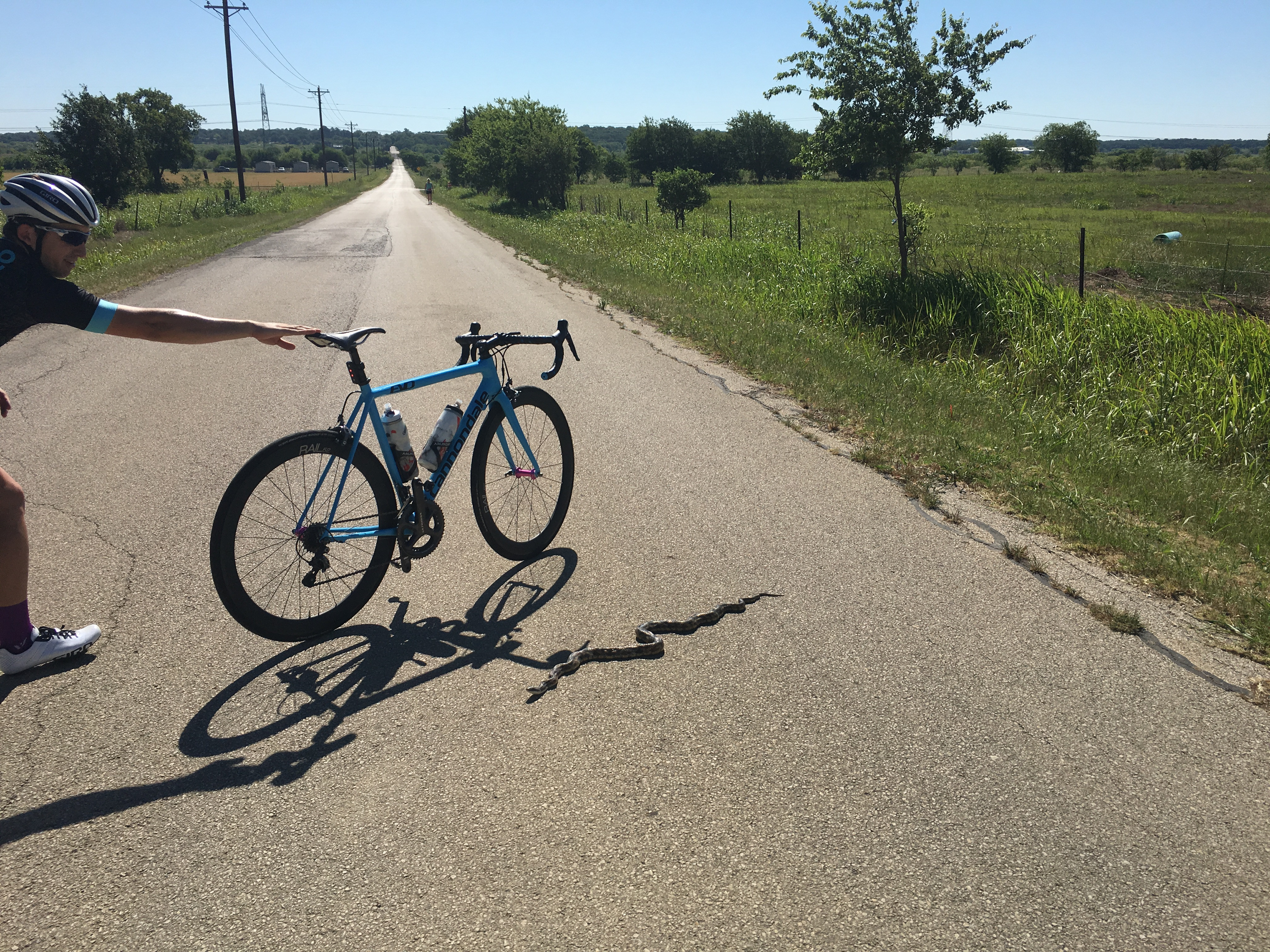 Name:  sNeCAZg.jpg
Views: 64
Size:  4.76 MB