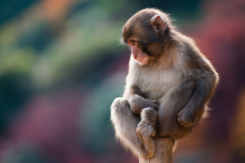 Name:  0HatK8e.jpg
Views: 28
Size:  56.6 KB