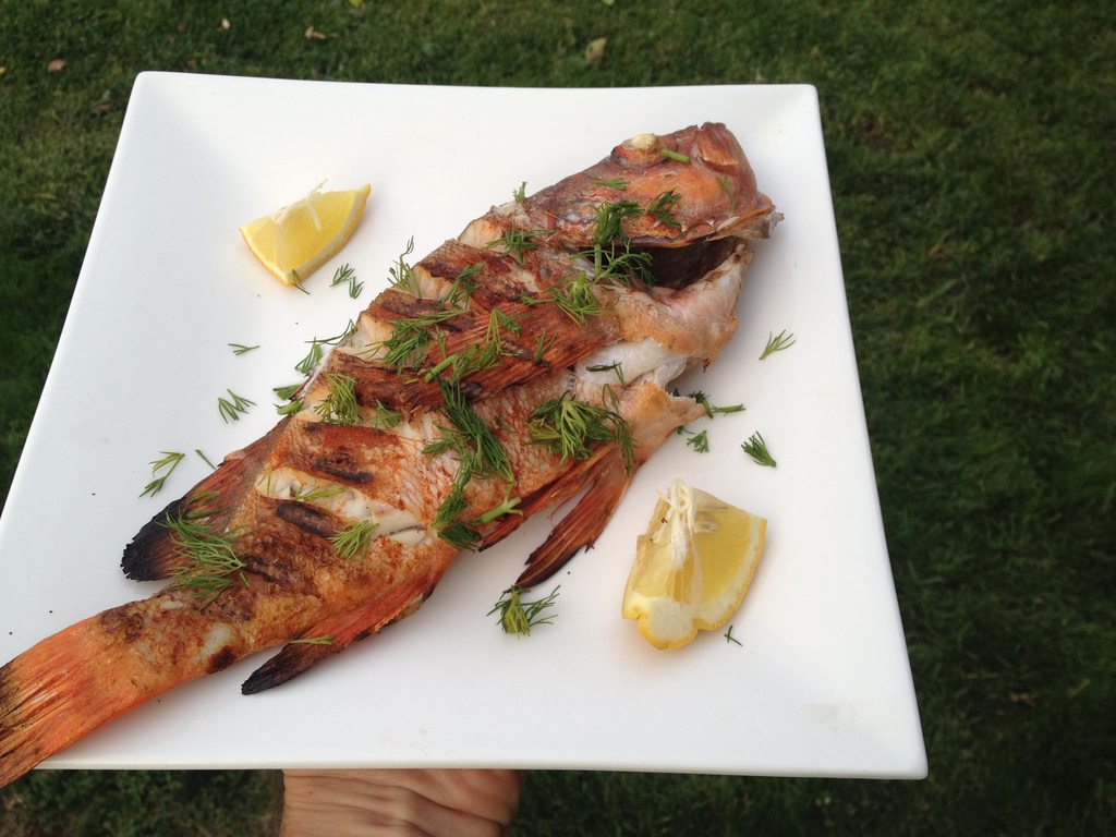 Name:  6GWG4LTh.jpg
Views: 64
Size:  118.2 KB