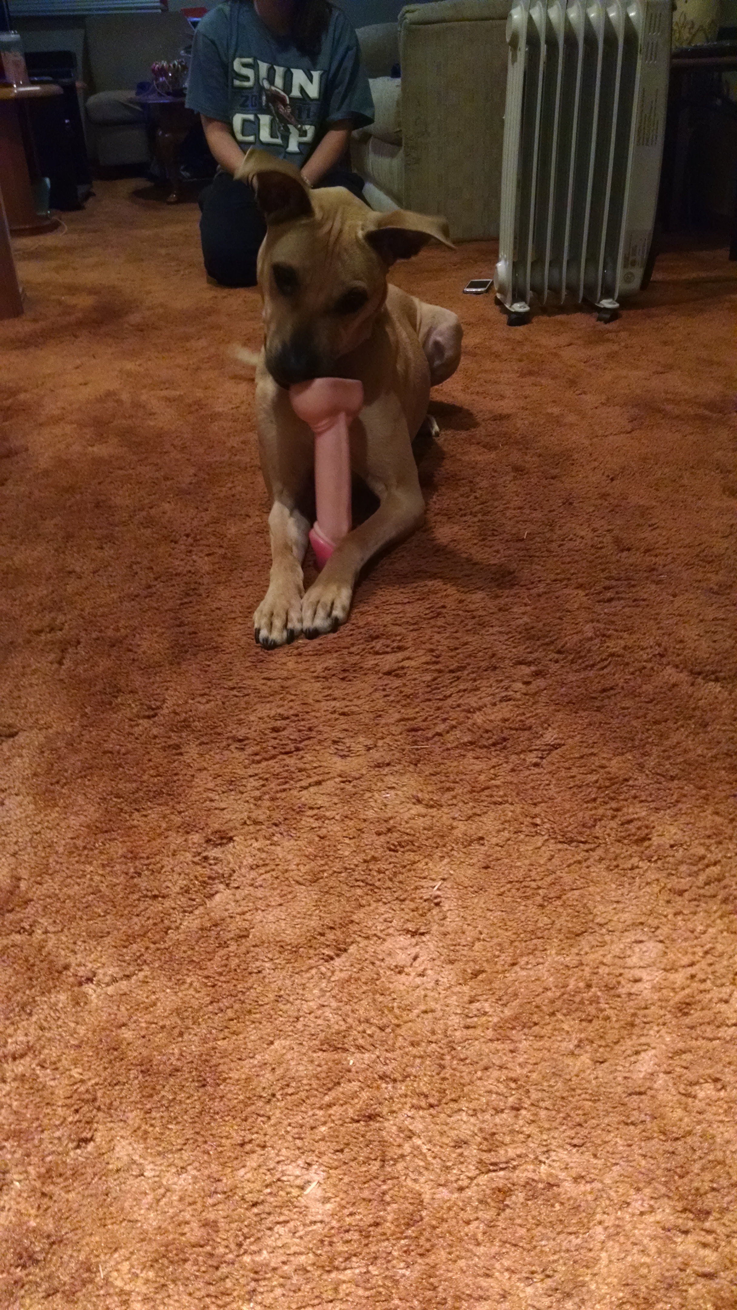 Name:  B7N22hx.jpg
Views: 39
Size:  3.07 MB