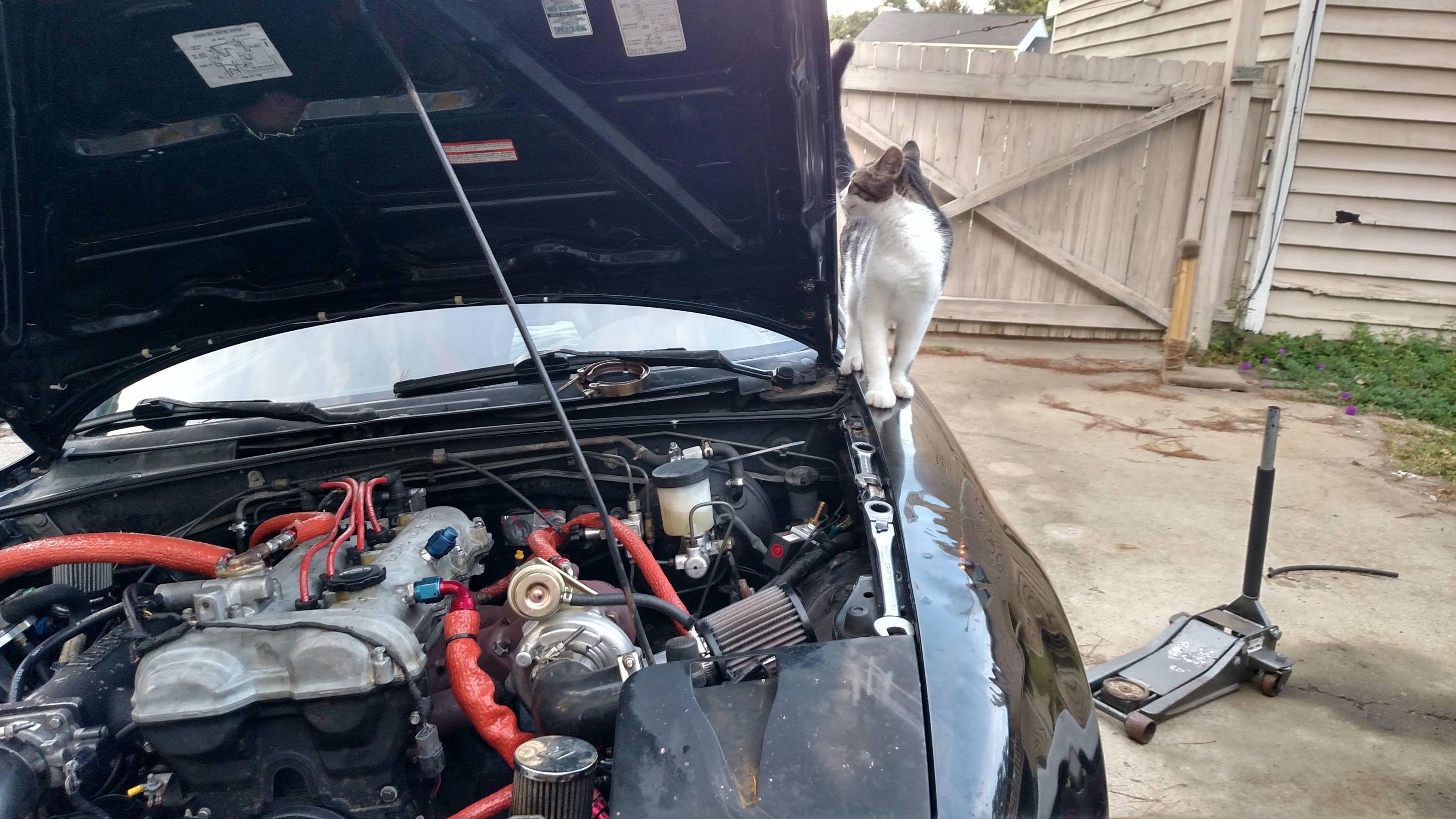 Name:  ukWsZDZ.jpg
Views: 83
Size:  858.0 KB