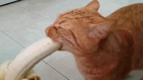 Name:  If2Owjc.gif
Views: 52
Size:  4.96 MB