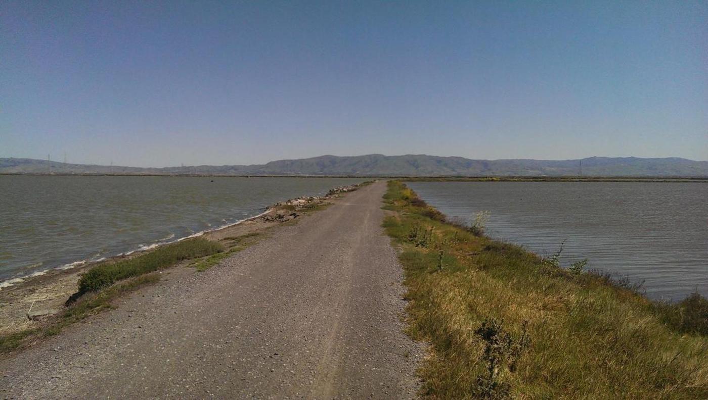 Name:  7g0VDK2.jpg
Views: 44
Size:  128.7 KB