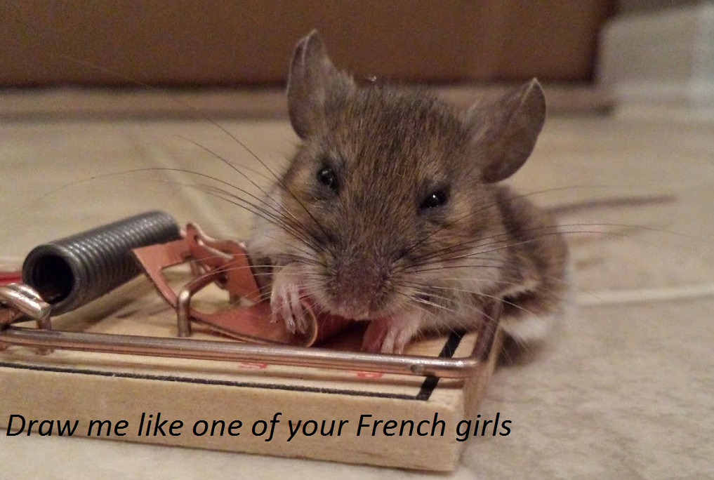 Name:  CahQgoI.jpg
Views: 49
Size:  176.2 KB