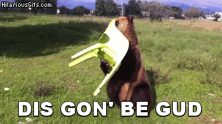 Name:  pHIDGY6.gif
Views: 111
Size:  1.27 MB