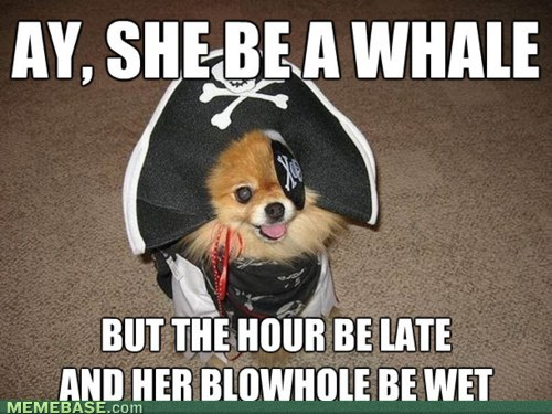 Name:  rdfyH.png
Views: 44
Size:  314.2 KB