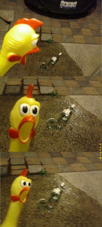 Name:  hfd67.jpg
Views: 74
Size:  89.5 KB