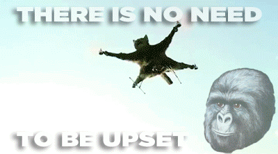 Name:  pHR1Y.gif
Views: 52
Size:  1.81 MB