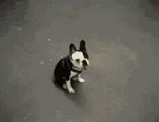 Name:  fo0qR.gif
Views: 38
Size:  1.19 MB