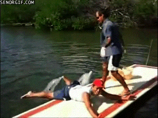 Name:  RSgP8.gif
Views: 57
Size:  1.85 MB