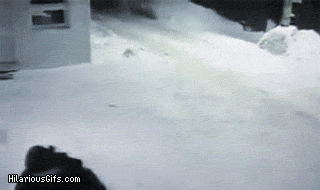 Name:  bONj2.gif
Views: 113
Size:  1.54 MB