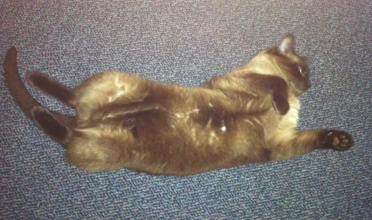 Name:  betUR.png
Views: 120
Size:  630.2 KB