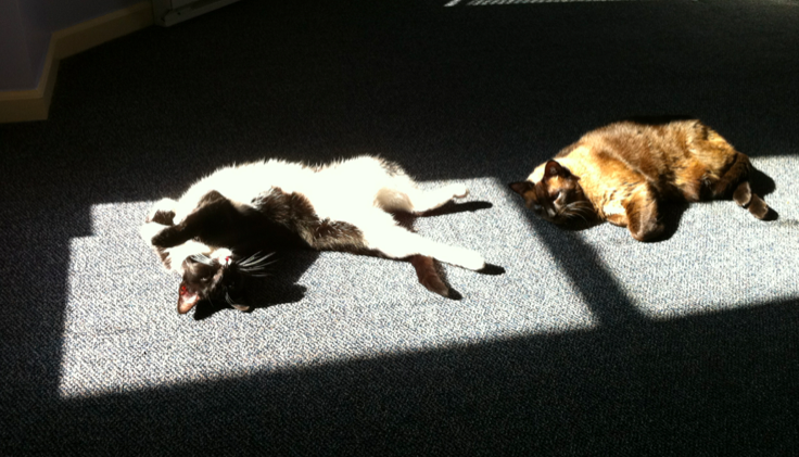 Name:  sEaSS.png
Views: 119
Size:  527.5 KB