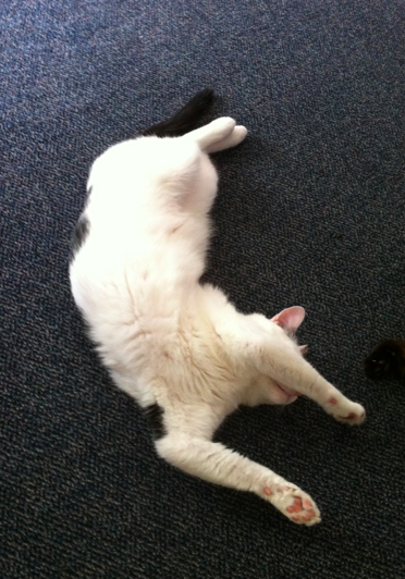 Name:  NlL7c.png
Views: 115
Size:  371.7 KB