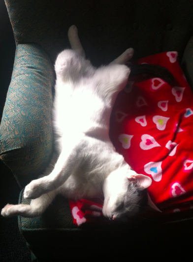 Name:  eP0u5.png
Views: 121
Size:  289.9 KB