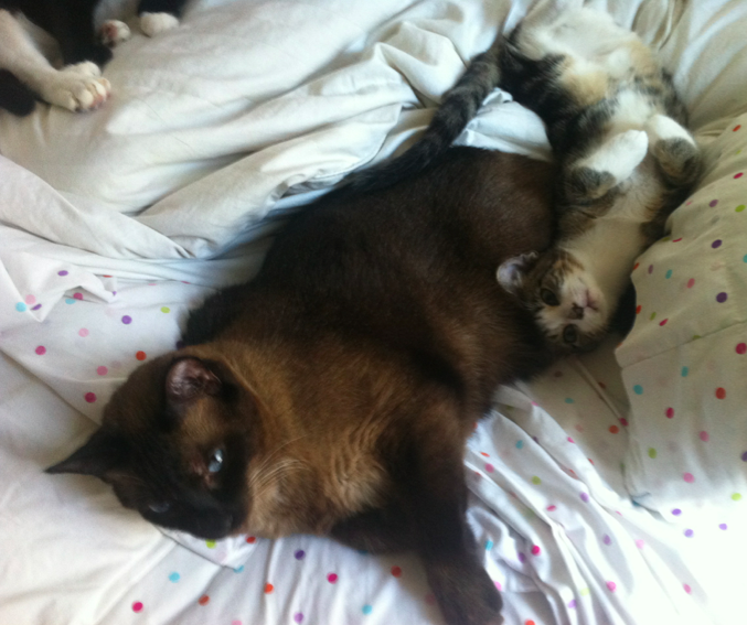 Name:  q8uIf.png
Views: 114
Size:  525.1 KB