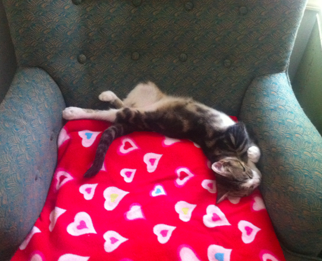 Name:  JZHd2.png
Views: 123
Size:  506.1 KB