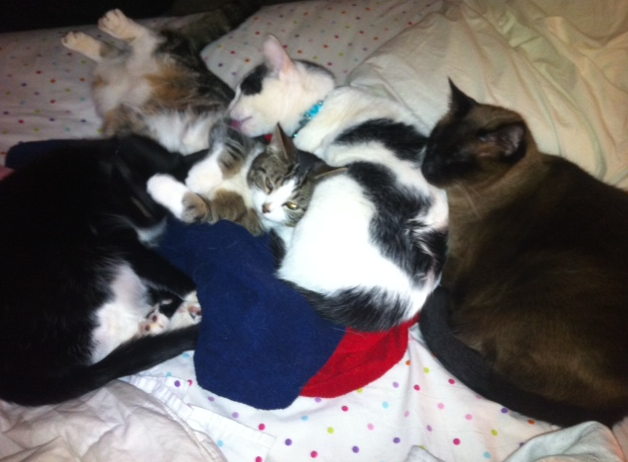 Name:  pb1xg.png
Views: 126
Size:  349.8 KB