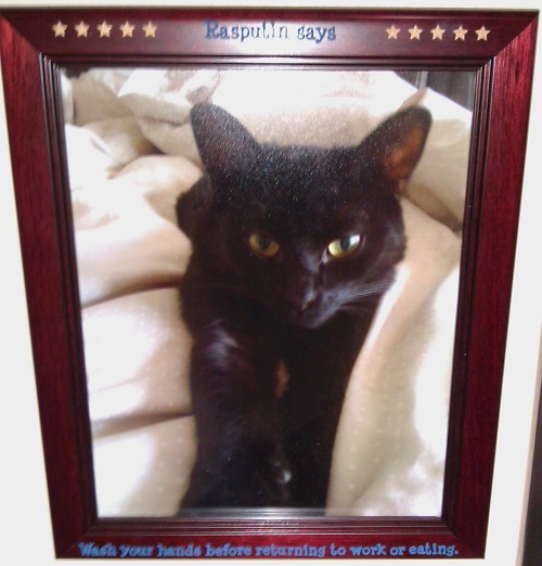 Name:  EXv36.jpg
Views: 112
Size:  55.3 KB