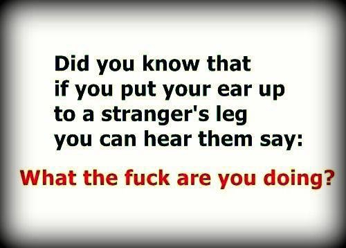 Name:  KvgO8.jpg
Views: 37
Size:  27.8 KB