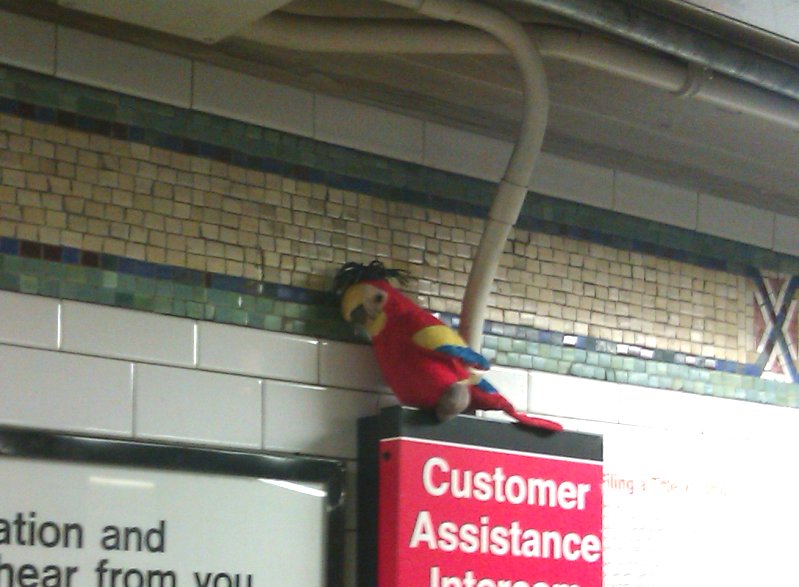 Name:  oot0V.jpg
Views: 60
Size:  75.5 KB