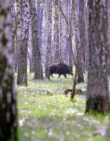 Name:  qwHCT.jpg
Views: 35
Size:  85.3 KB