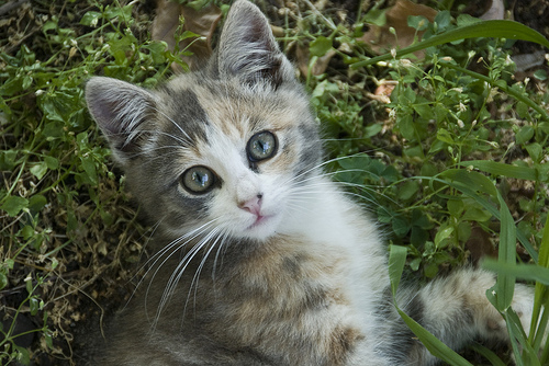 Name:  j0ZaI.jpg
Views: 36
Size:  128.5 KB