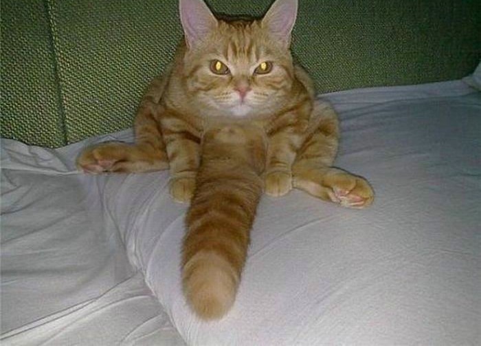 Name:  yDqSI.jpg
Views: 43
Size:  94.1 KB