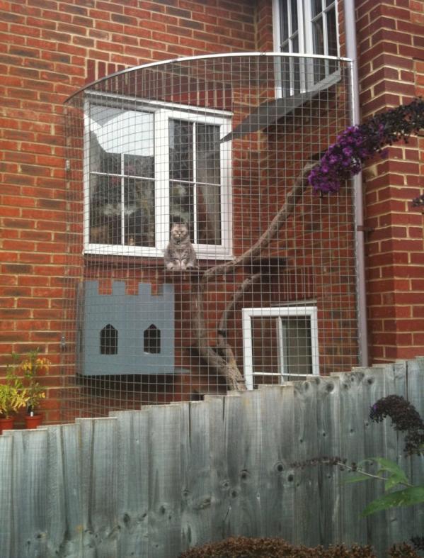 Name:  Ozz1p.jpg
Views: 88
Size:  82.1 KB