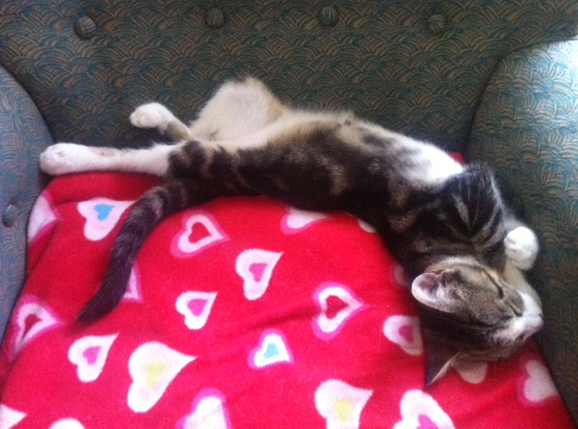 Name:  bwZcR.png
Views: 73
Size:  478.6 KB