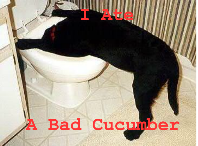 Name:  Eyas5.png
Views: 44
Size:  340.3 KB