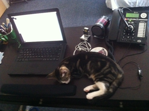 Name:  rcOBP.png
Views: 62
Size:  356.9 KB