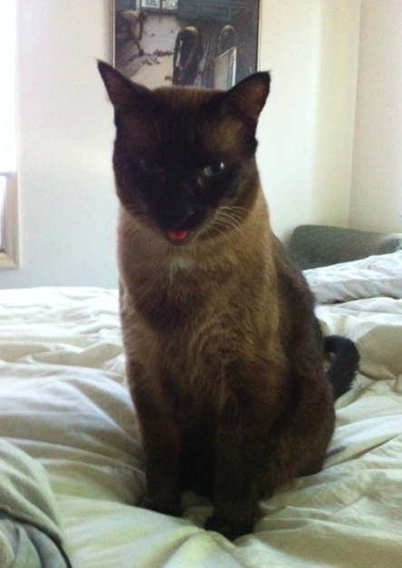 Name:  qdwms.png
Views: 62
Size:  318.5 KB