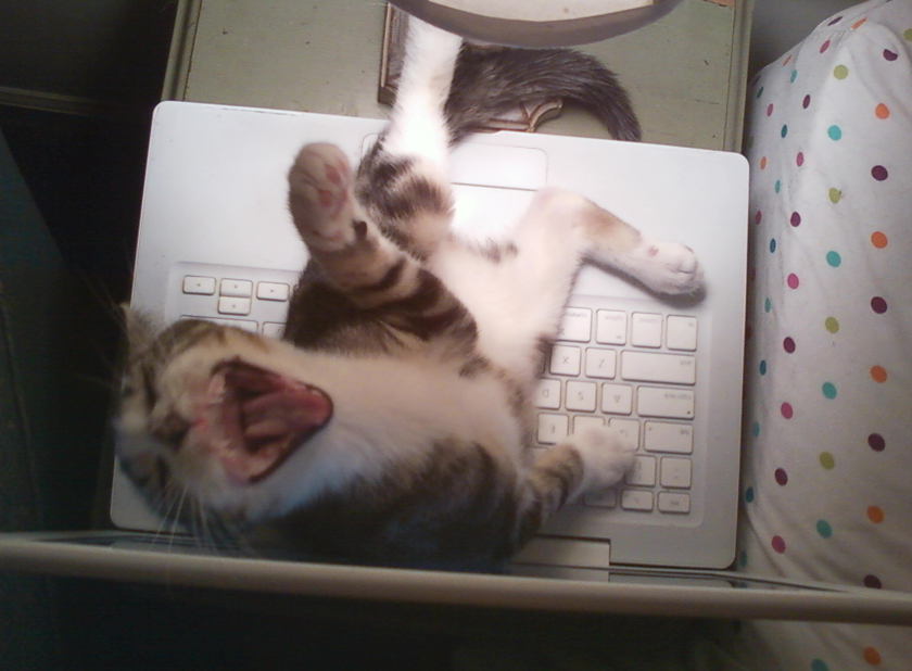 Name:  YofZG.png
Views: 46
Size:  592.2 KB