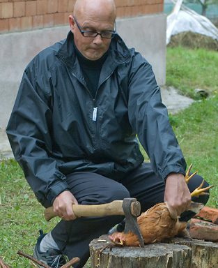 Name:  wEbDz.jpg
Views: 60
Size:  64.3 KB