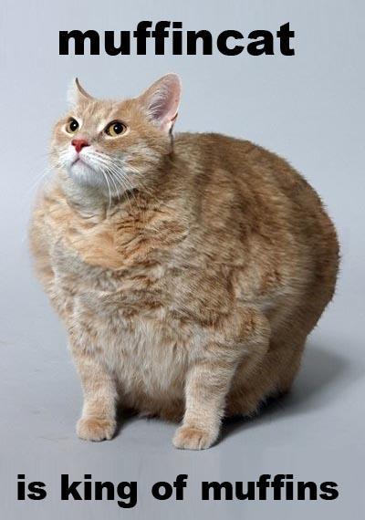 Name:  xbMVB.jpg
Views: 56
Size:  31.3 KB