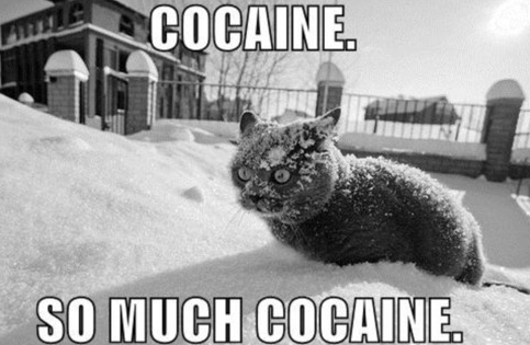 Name:  cn64c.png
Views: 51
Size:  95.5 KB