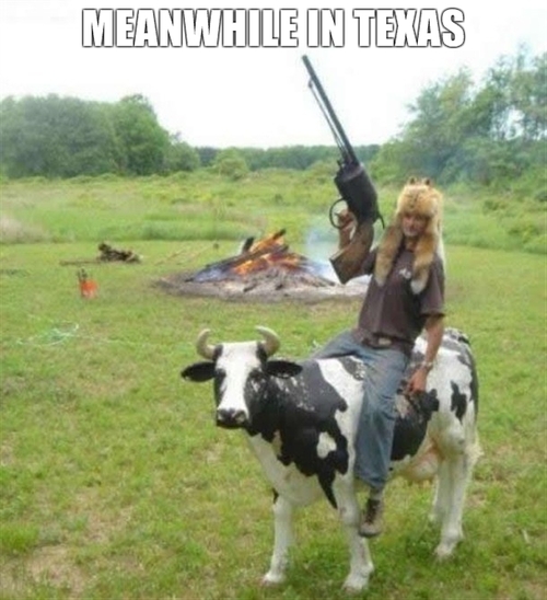 Name:  FmxDR.jpg
Views: 43
Size:  174.3 KB