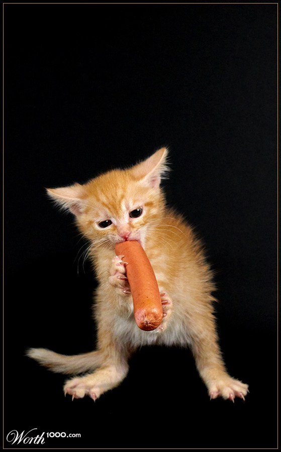 Name:  pizH5.jpg
Views: 36
Size:  65.3 KB