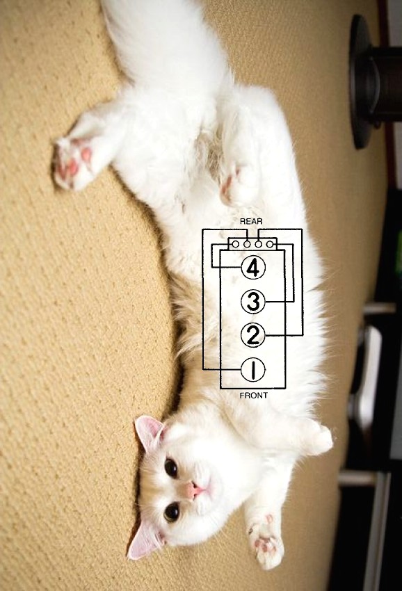 Name:  RjSk2.jpg
Views: 50
Size:  101.3 KB