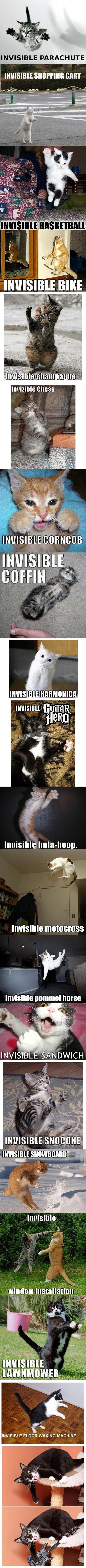 Name:  fLJRB.jpg
Views: 37
Size:  593.4 KB