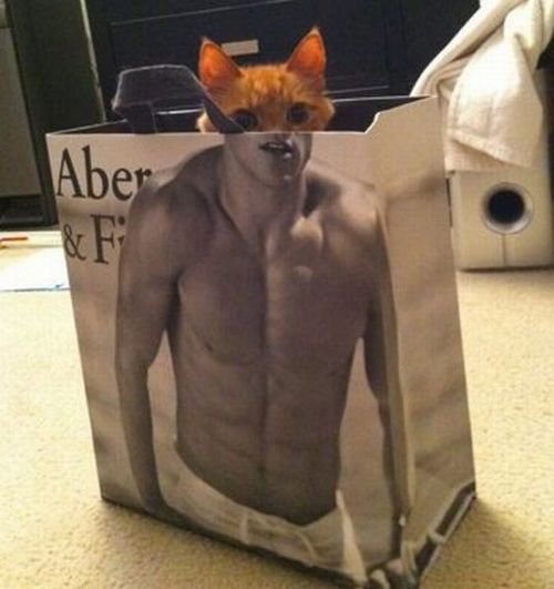 Name:  Rt5Ca.jpg
Views: 68
Size:  39.6 KB