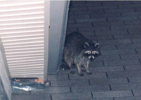 Name:  n1TaE.jpg
Views: 43
Size:  30.2 KB