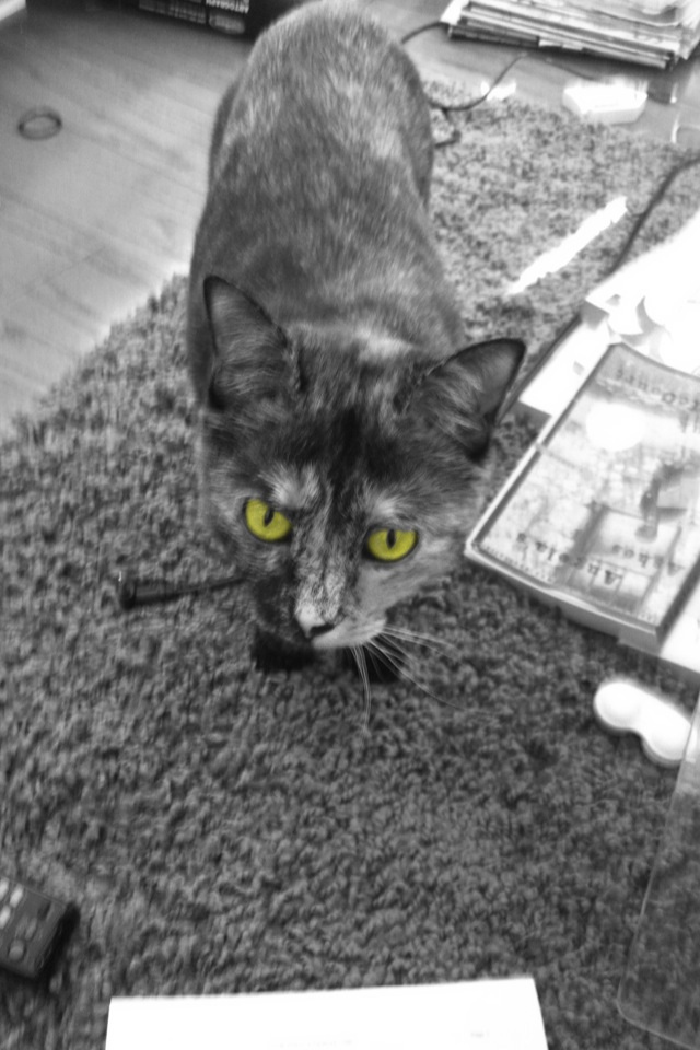 Name:  y8T0P.jpg
Views: 48
Size:  156.7 KB