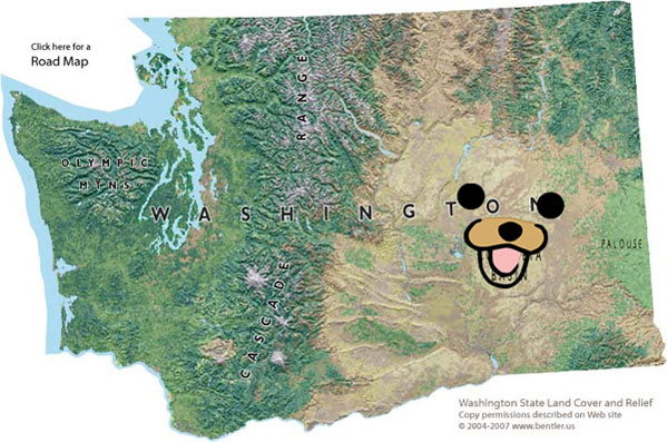 Name:  rKt2D.png
Views: 93
Size:  427.9 KB