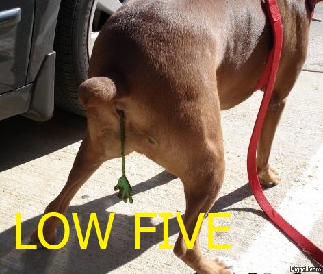 Name:  HnbnD.jpg
Views: 122
Size:  42.4 KB