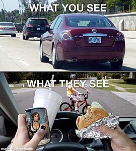 The AI-generated cat pictures thread-92qjh5njt5291.jpg