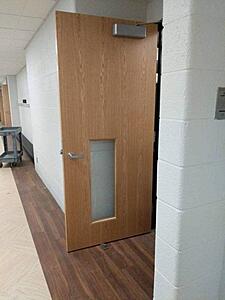 The AI-generated cat pictures thread-03c661a6c1a139d9a7e238274e146af9.jpg