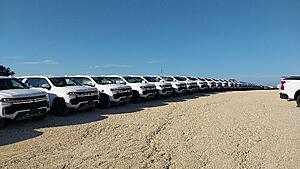 The AI-generated cat pictures thread-20240718_084156.jpg