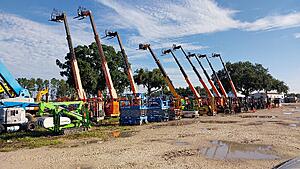 The AI-generated cat pictures thread-20240718_084127.jpg